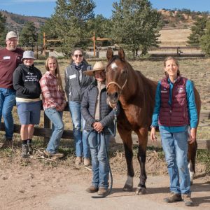 Sedalia, CO: Weekend Course, October 24-25, 2026 with Kim Hollstein