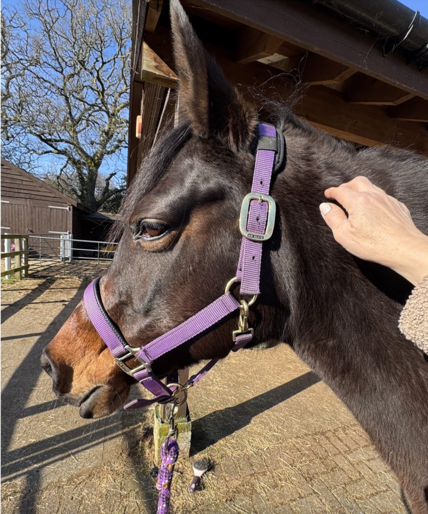 Photo of person using light touch along the crest as part of the Bladder Meridian Technique.