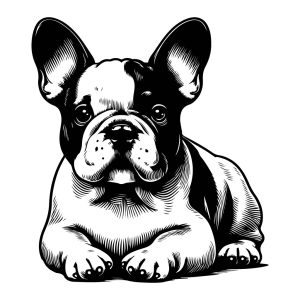 Bulldog-Black-and-White-SVG-Vector-File-for-Laser-Cutting-2