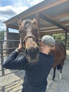 A woman working with a horse.