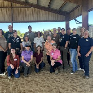 Salado, TX: Weekend Course, October 10-11, 2026 with Kelly Jefferson