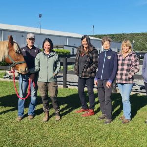 Mangere Bridge, AUK, NZ: Weekend Course, August 22-23, 2026 with Krystle Parker