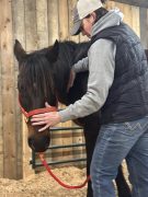A woman working with a horse.