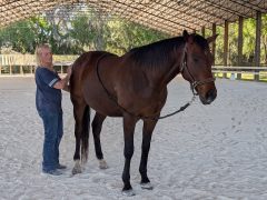 A woman working with a horse.
