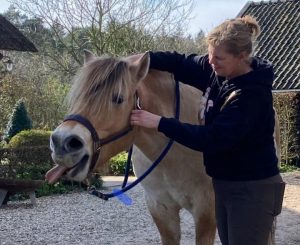 A woman working with a horse.