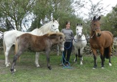 A woman with many horses!
