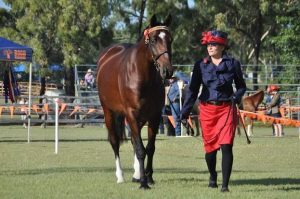 A woman walking with a horse at a show.
