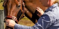 Veronica Mcelrea MMCP A woman working with a horse.