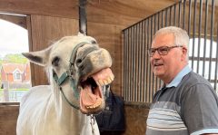 A man working with a yawning horse.