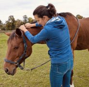 A woman working with a horse.
