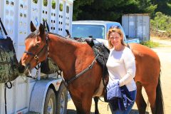 Stacey Gensler MMCP A woman standing with a horse.