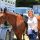 A woman standing with a horse.