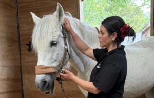 A woman working with a horse.