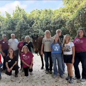 Allegany, NY: Weekend Course, August 22-23, 2026 with Alice Long