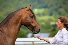 Jasmin Burkhardt MMCP A woman with a horse.