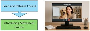 dog prerequisite courses image of prerequisite courses for canine certfication