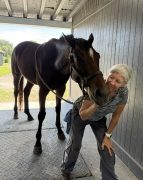 Cindy McDevitt MMCP A woman working with a horse.