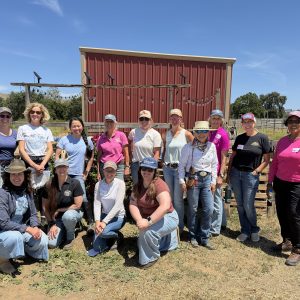 San Jose, CA: Weekend Course, February 20-21, 2027 with Sandy Vreeburg