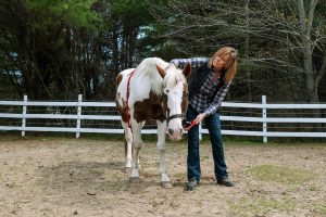 A woman working with a horse.