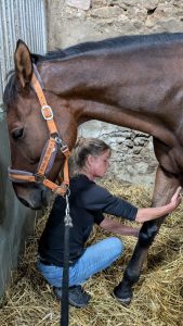 A woman working with a horse.